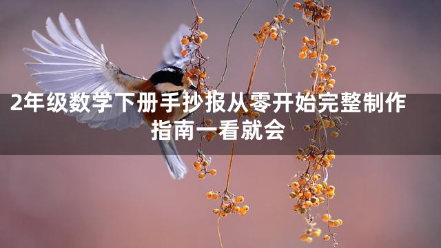 2年级数学下册手抄报从零开始完整制作指南一看就会