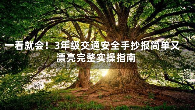 一看就会！3年级交通安全手抄报简单又漂亮完整实操指南