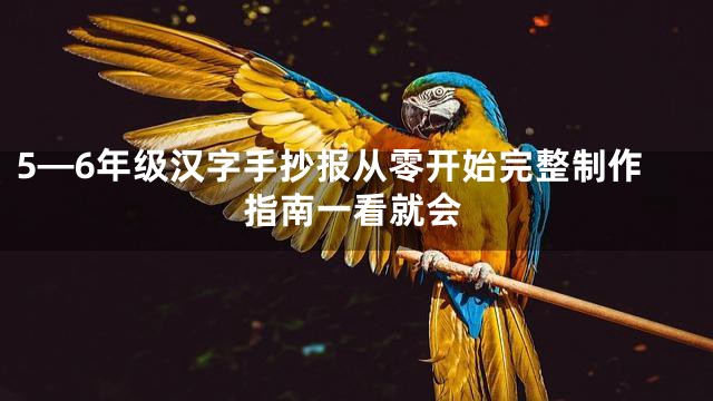 5—6年级汉字手抄报从零开始完整制作指南一看就会