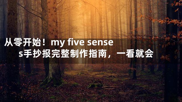 从零开始！my five senses手抄报完整制作指南，一看就会