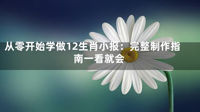 从零开始学做12生肖小报：完整制作指南一看就会
