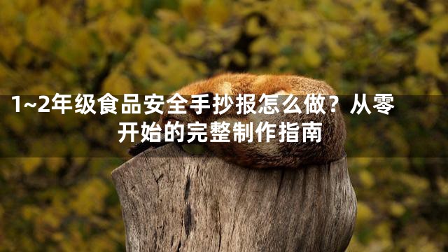 1~2年级食品安全手抄报怎么做？从零开始的完整制作指南