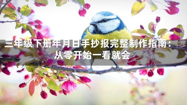 三年级下册年月日手抄报完整制作指南：从零开始一看就会