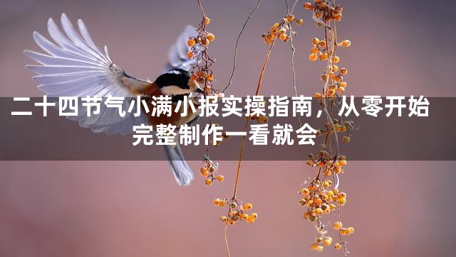 二十四节气小满小报实操指南，从零开始完整制作一看就会