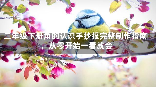 二年级下册角的认识手抄报完整制作指南，从零开始一看就会