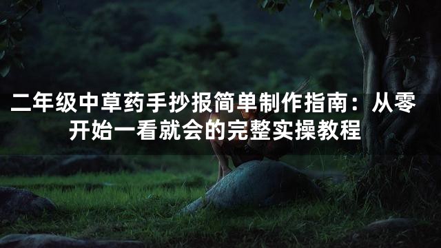二年级中草药手抄报简单制作指南：从零开始一看就会的完整实操教程