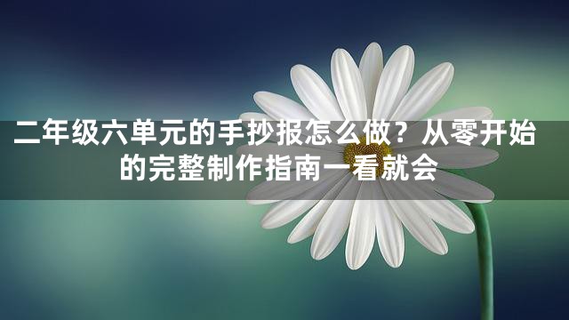二年级六单元的手抄报怎么做？从零开始的完整制作指南一看就会