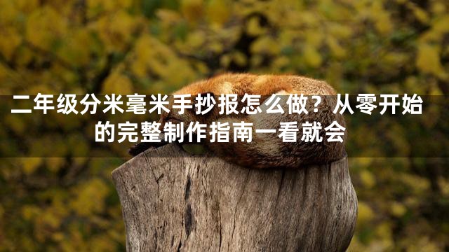二年级分米毫米手抄报怎么做？从零开始的完整制作指南一看就会